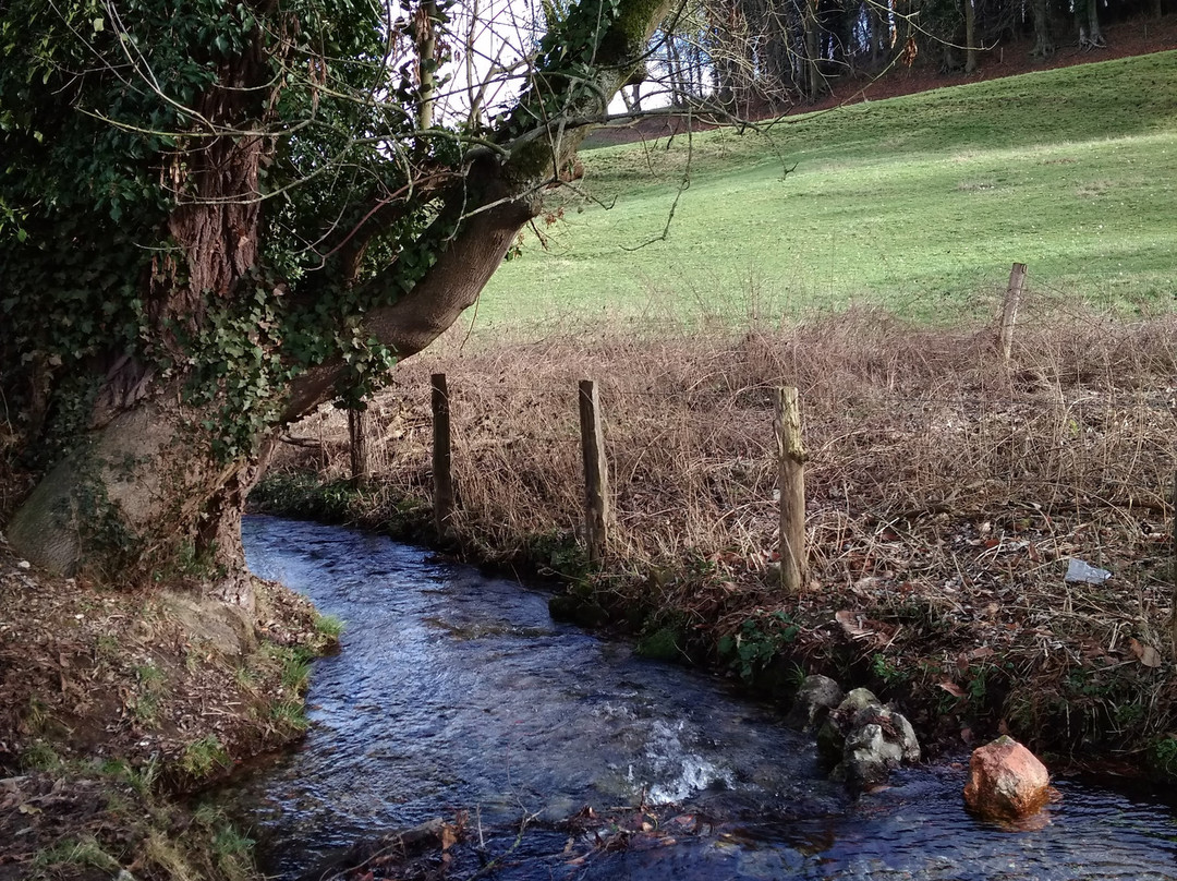 Hotel Platinium主图