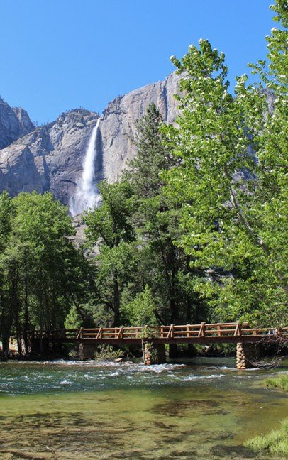 Swinging Bridge Picnic Area Yosemite National Park CA景点图片