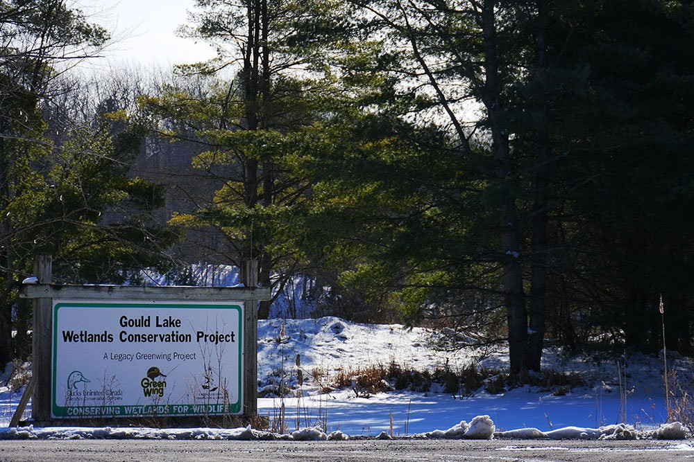 Gould Lake Conservation Area景点图片