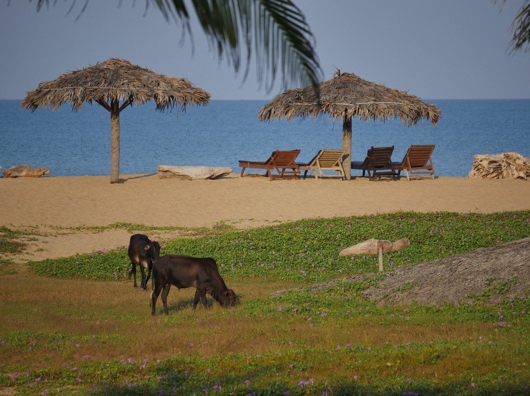 元素水上运动与自然度假村主图
