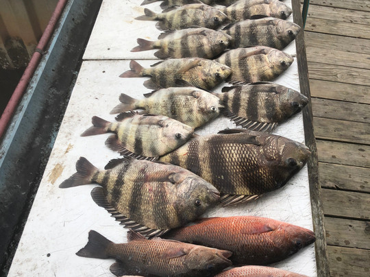 Blue Water Charters-橙色海湾必去景点