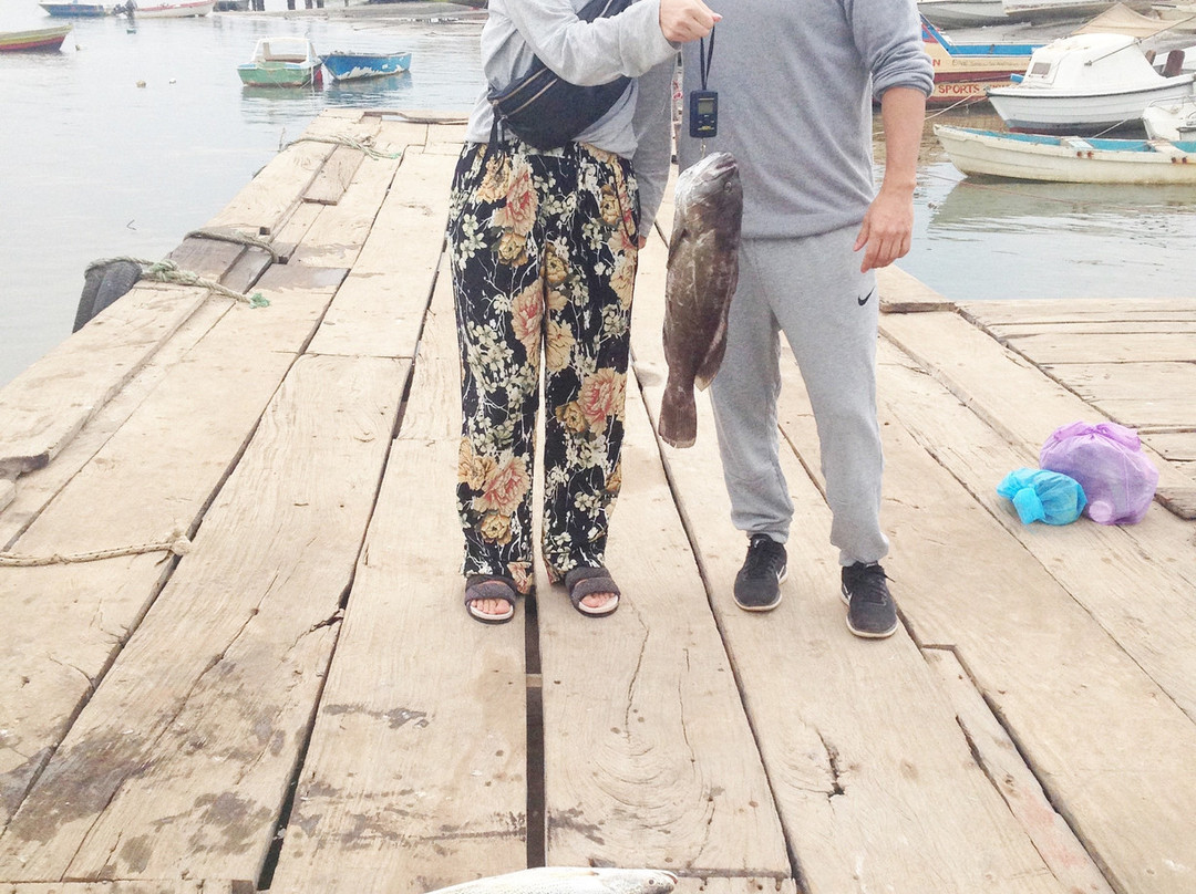 Paradise Fishing Gambia景点图片