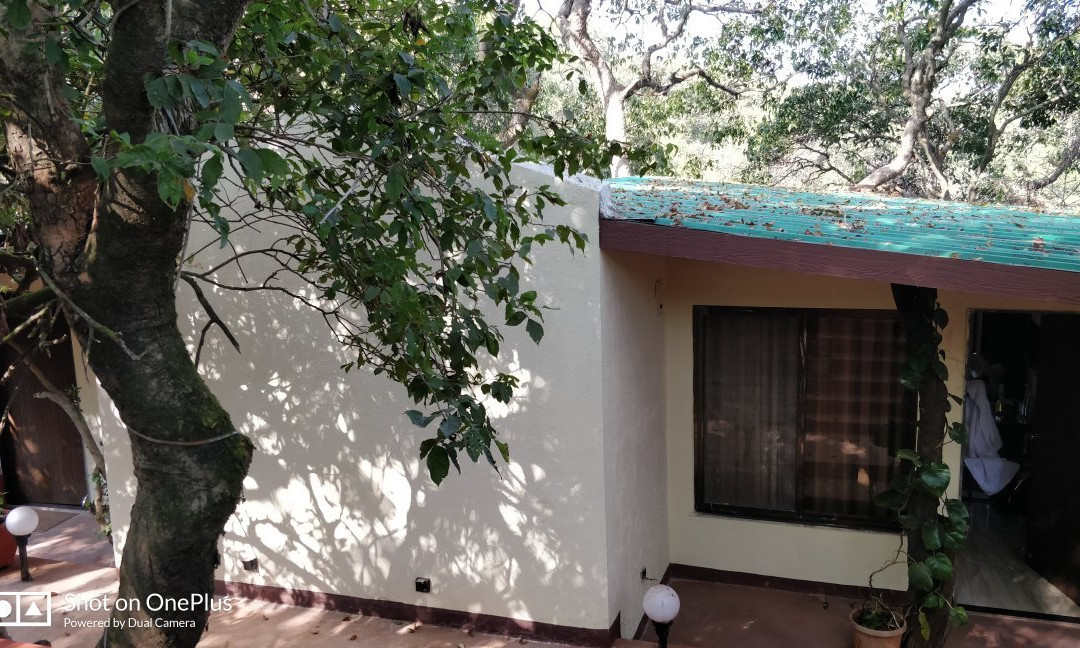 Honeywood Holiday Homes主图