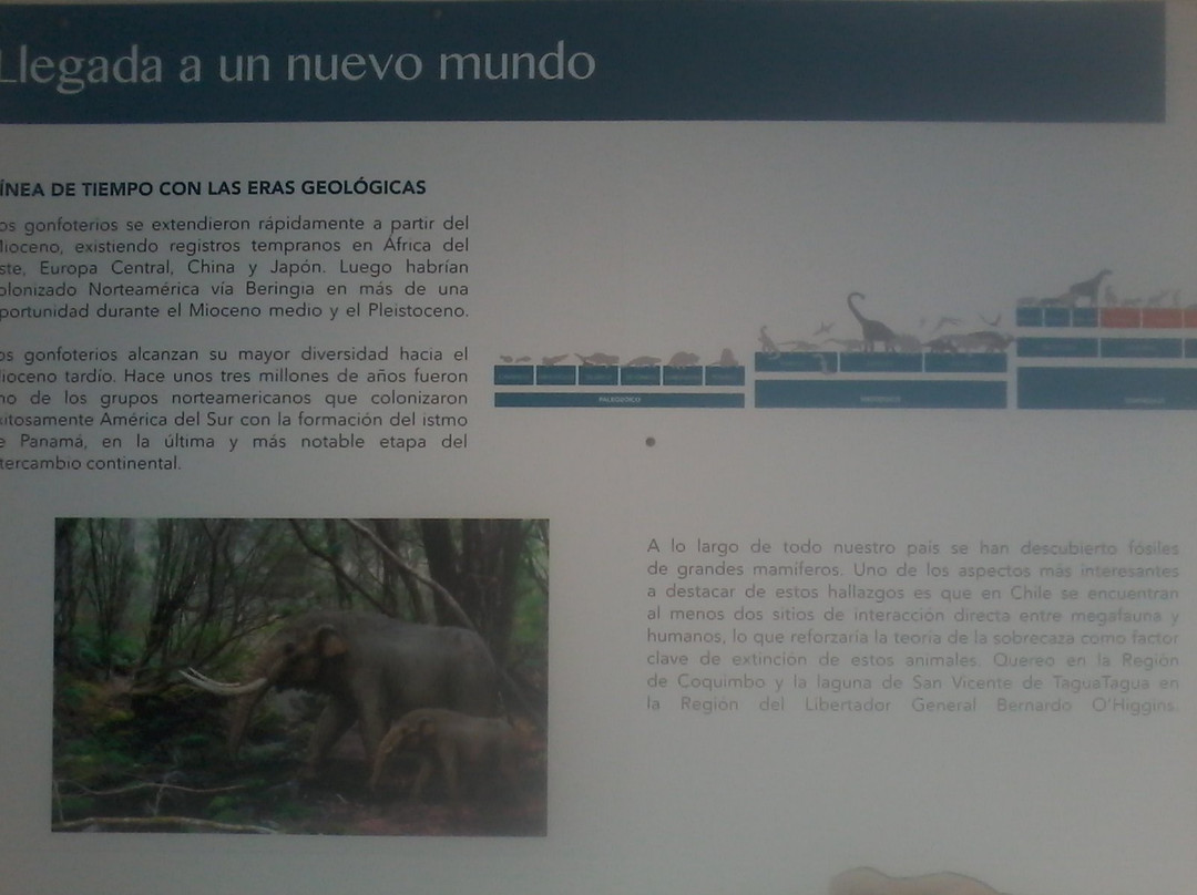 Museo Historico de Puerto Montt Juan Pablo II-蒙特港必去景点