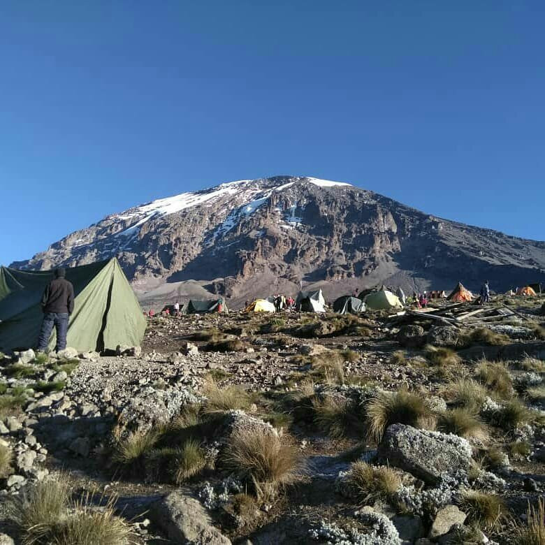 Step to Kilimanjaro-莫西必去景点