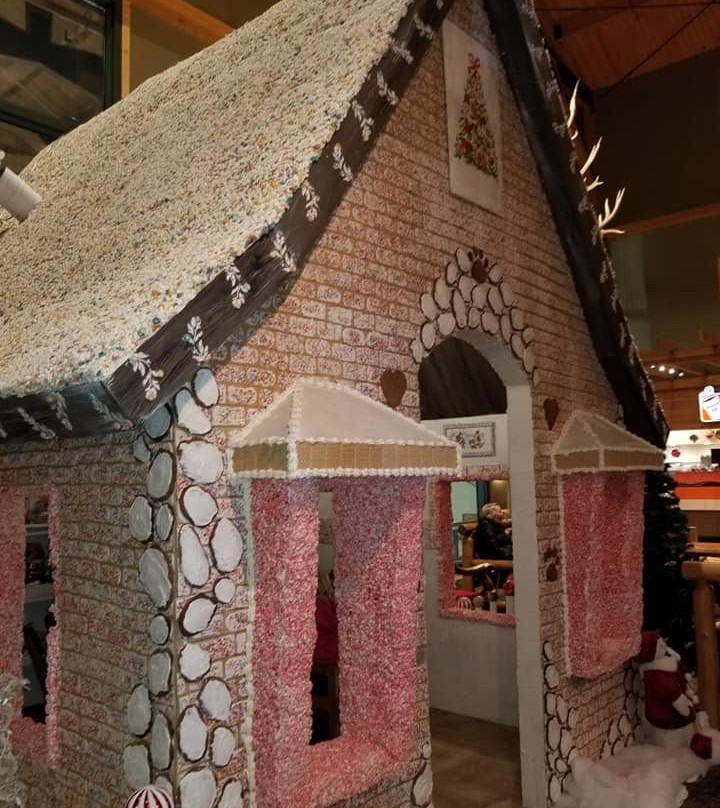 特拉弗斯城大灰狼洛奇酒店主图