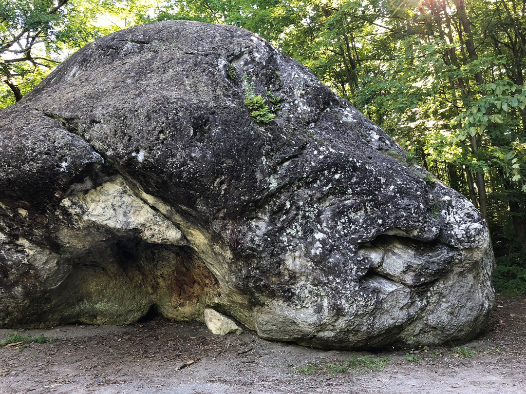 Bleasdell Boulder Conservation Area景点图片