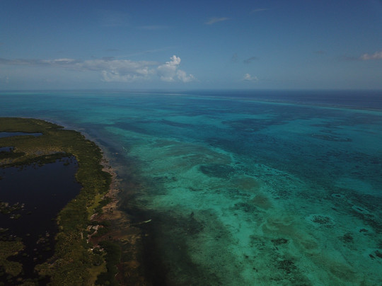 Pepe Dive Mahahual-Mahahual必去景点
