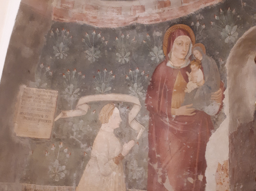 Pieve Di Santa Maria-诺维利古雷必去景点