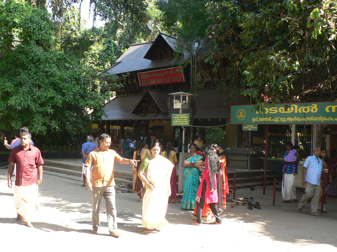 Mannarasala Sree Nagaraja Temple景点图片