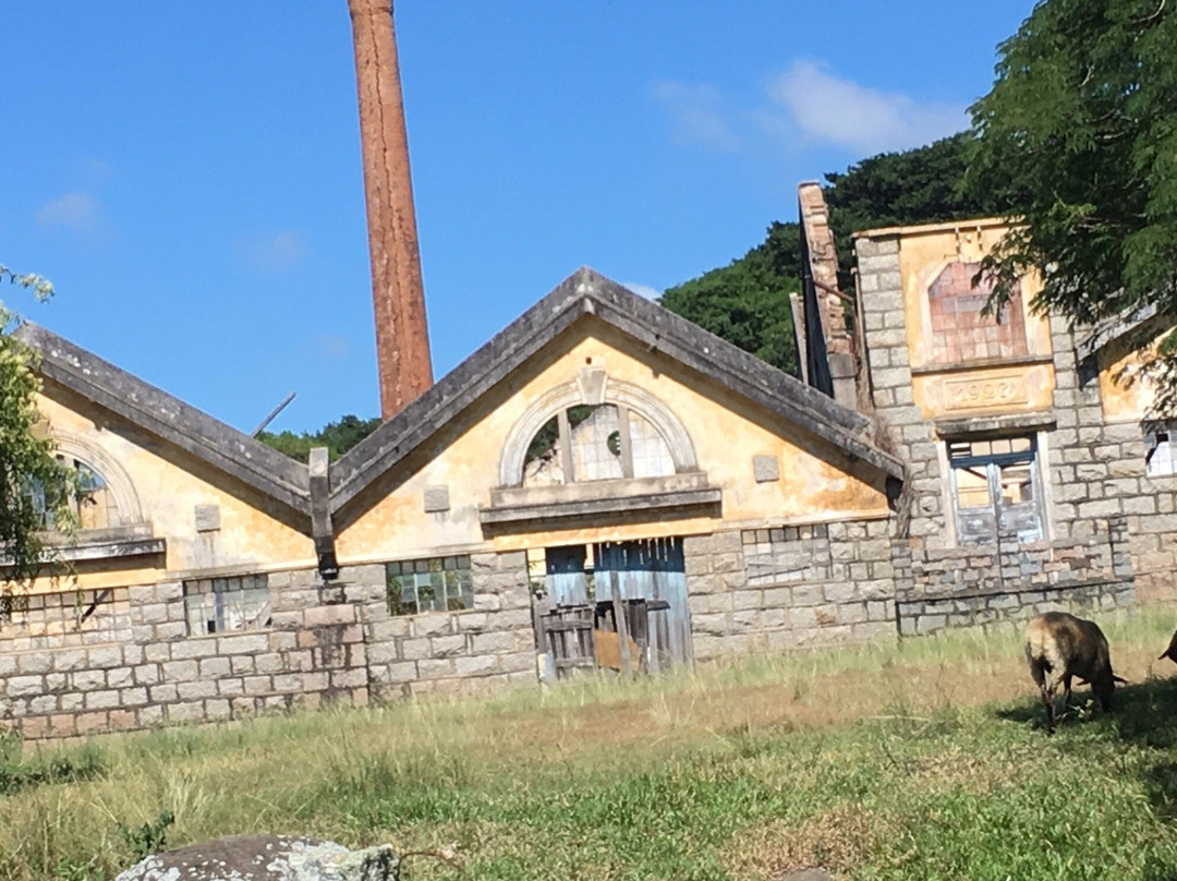 Matadouro São Geraldo-Guaiba必去景点