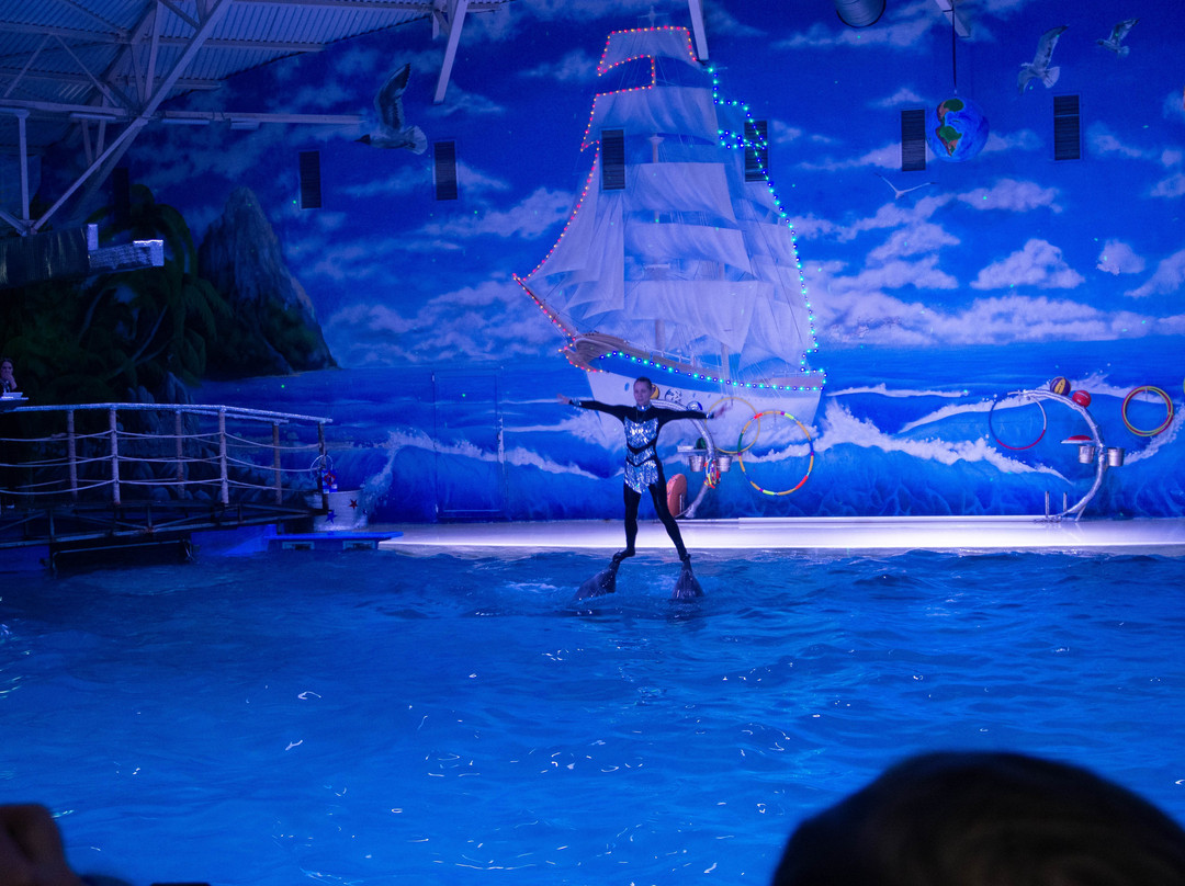 Dolphinarium Atlantida-下诺夫哥罗德必去景点