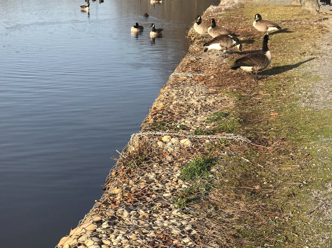 Argyle Park-Babylon必去景点