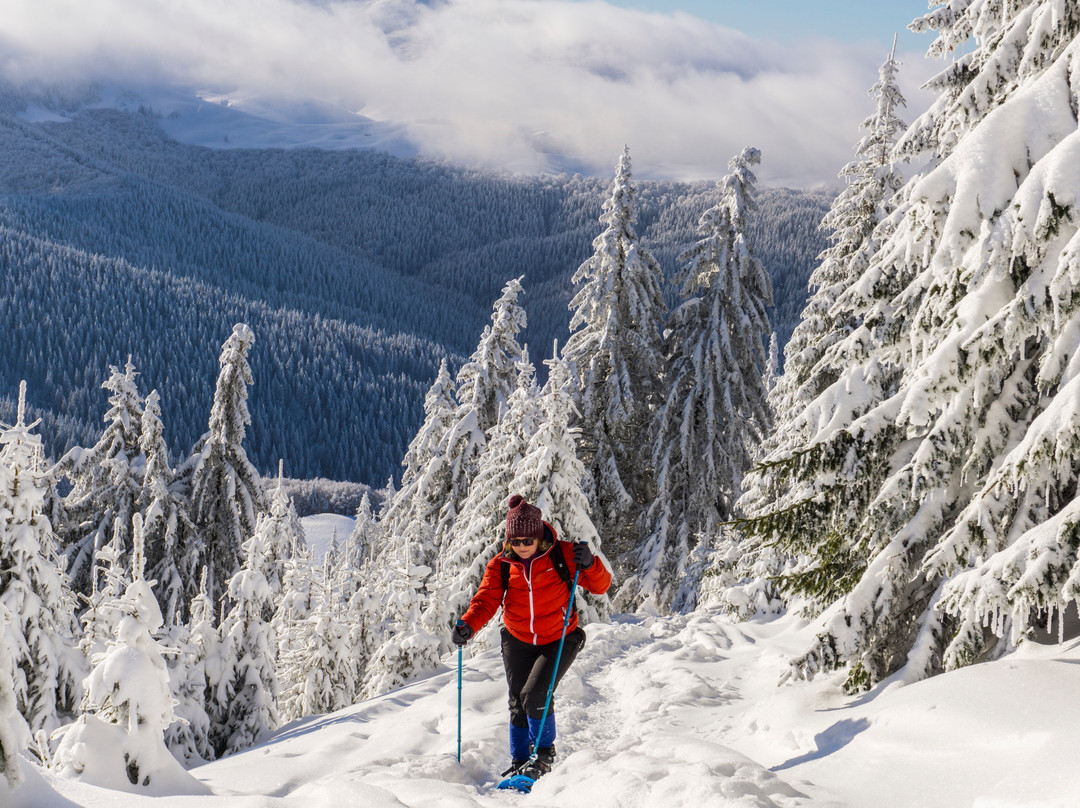 Outdoor Activities in Romania-布加勒斯特必去景点