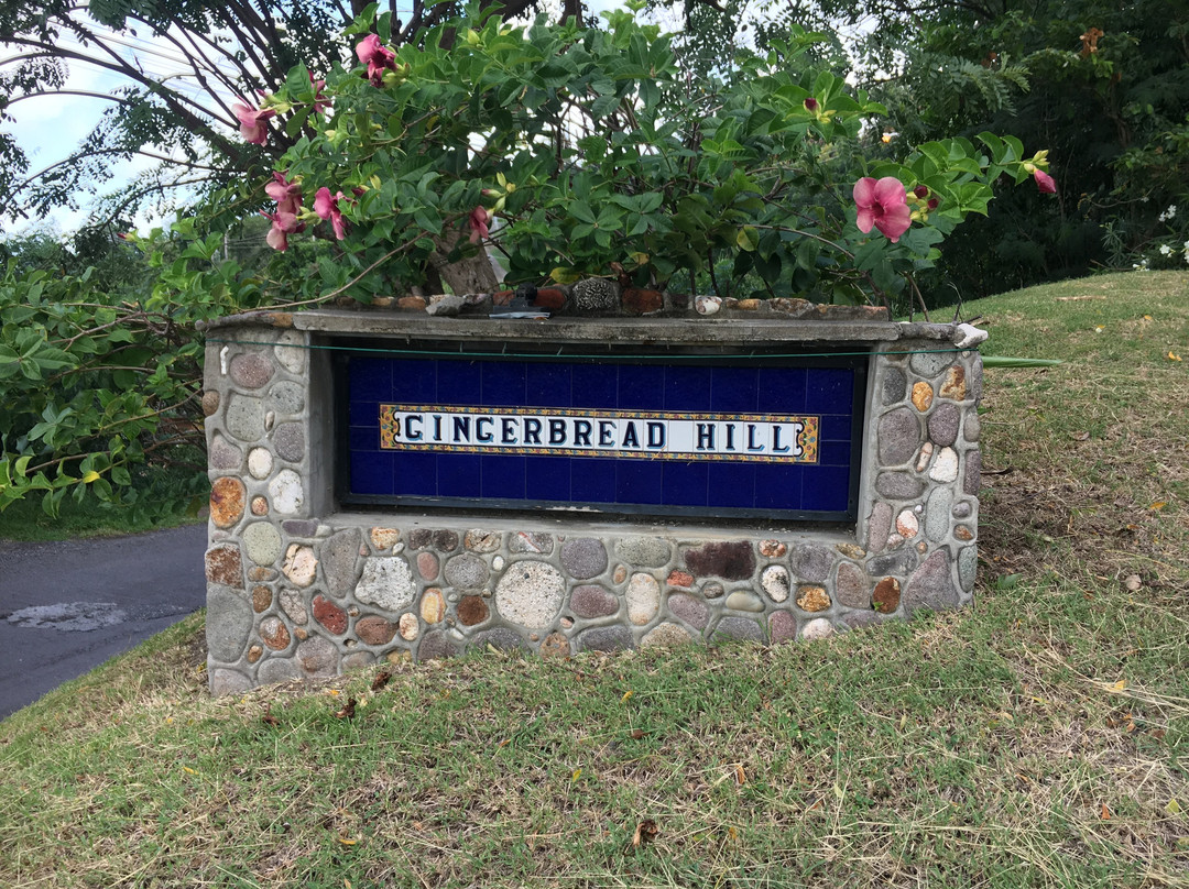 Gingerbread Hill主图