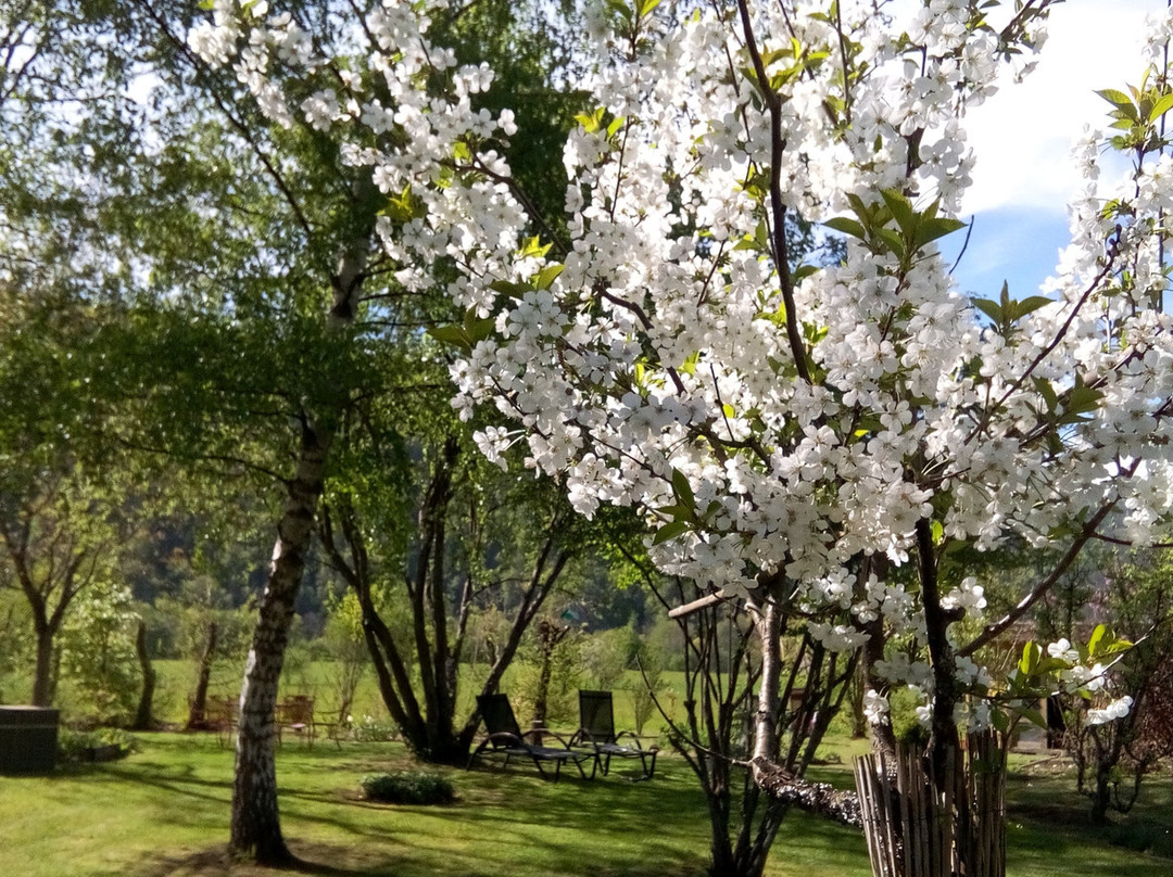 Les Arts Verts主图