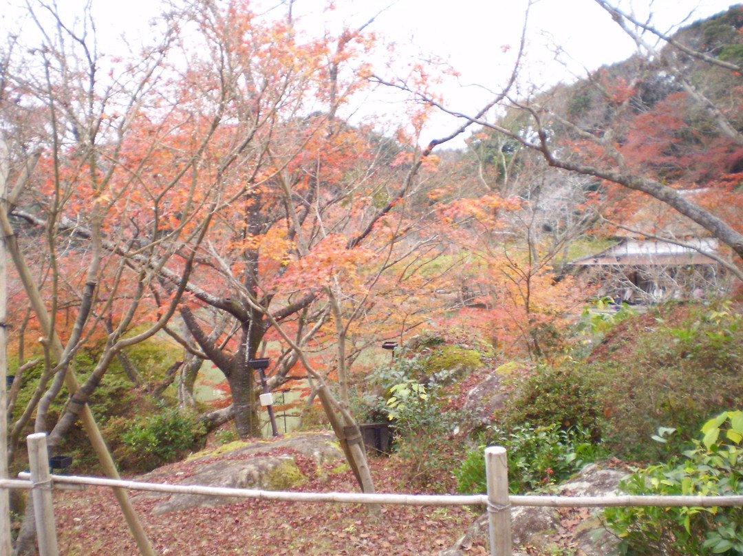 Seikei Park景点图片