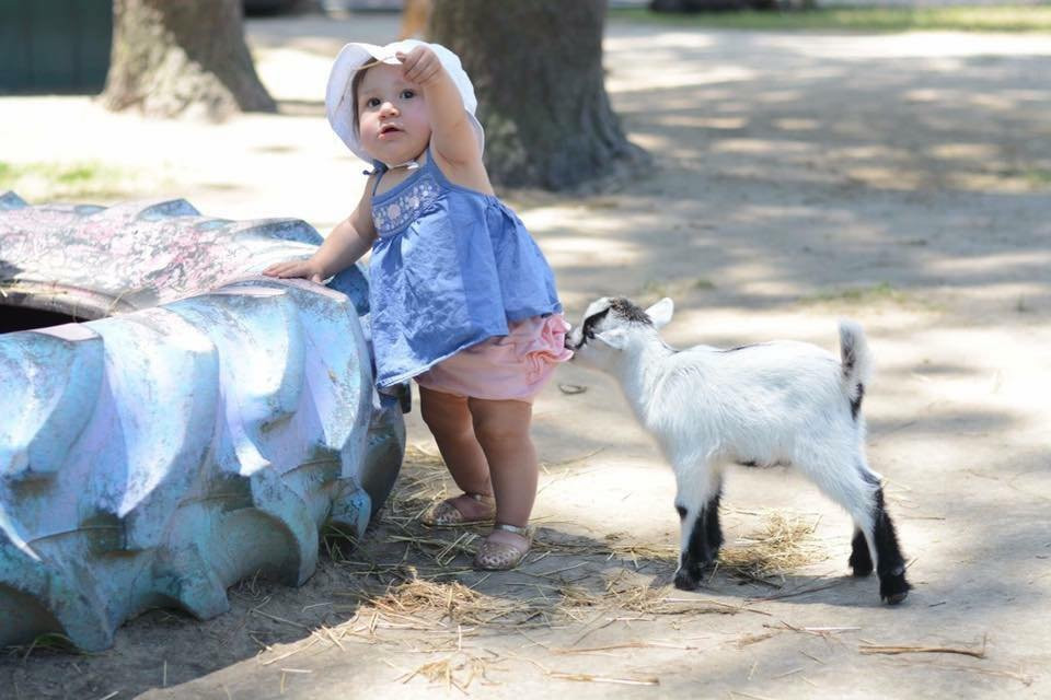 Hunt Club Farm-弗吉尼亚海滩必去景点