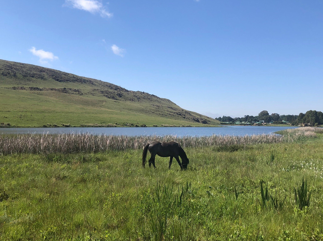 Dullstroom on the Dam-德尔斯特鲁姆必去景点