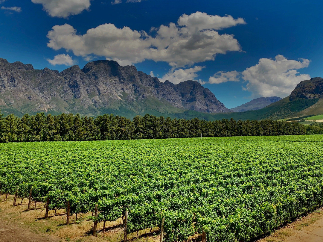 Bosch Travel and Tours-开普敦中心区必去景点