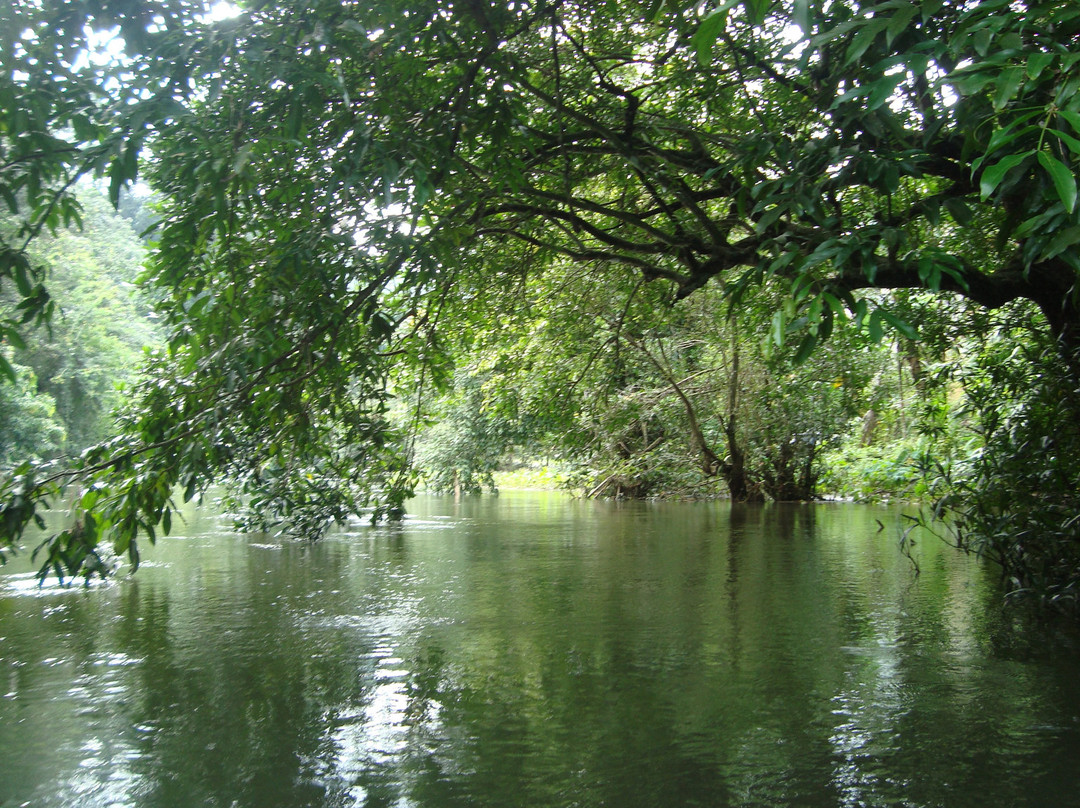 Konni Forest Reserve景点图片