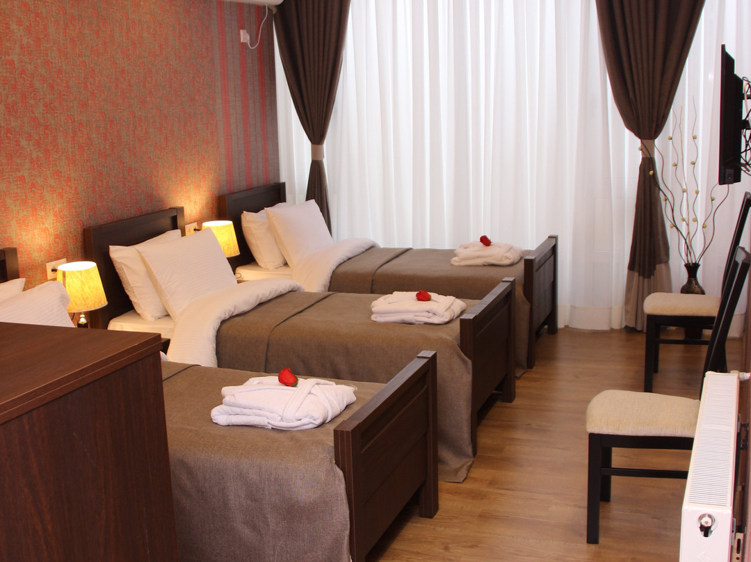 Hotel Monopoli Kutaisi主图