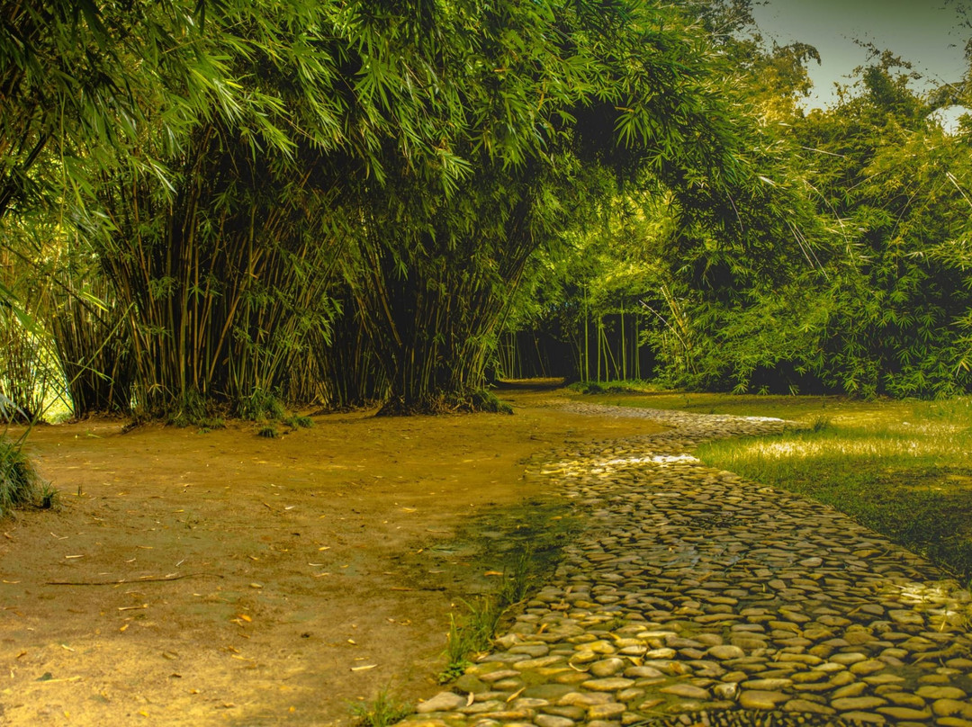 飞霞公园-舒城县必去景点