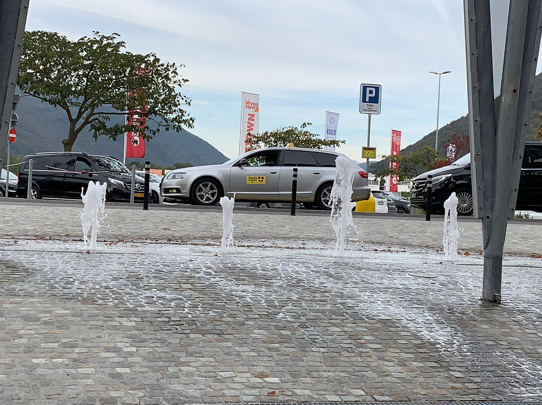 Zaandam Taxi景点图片
