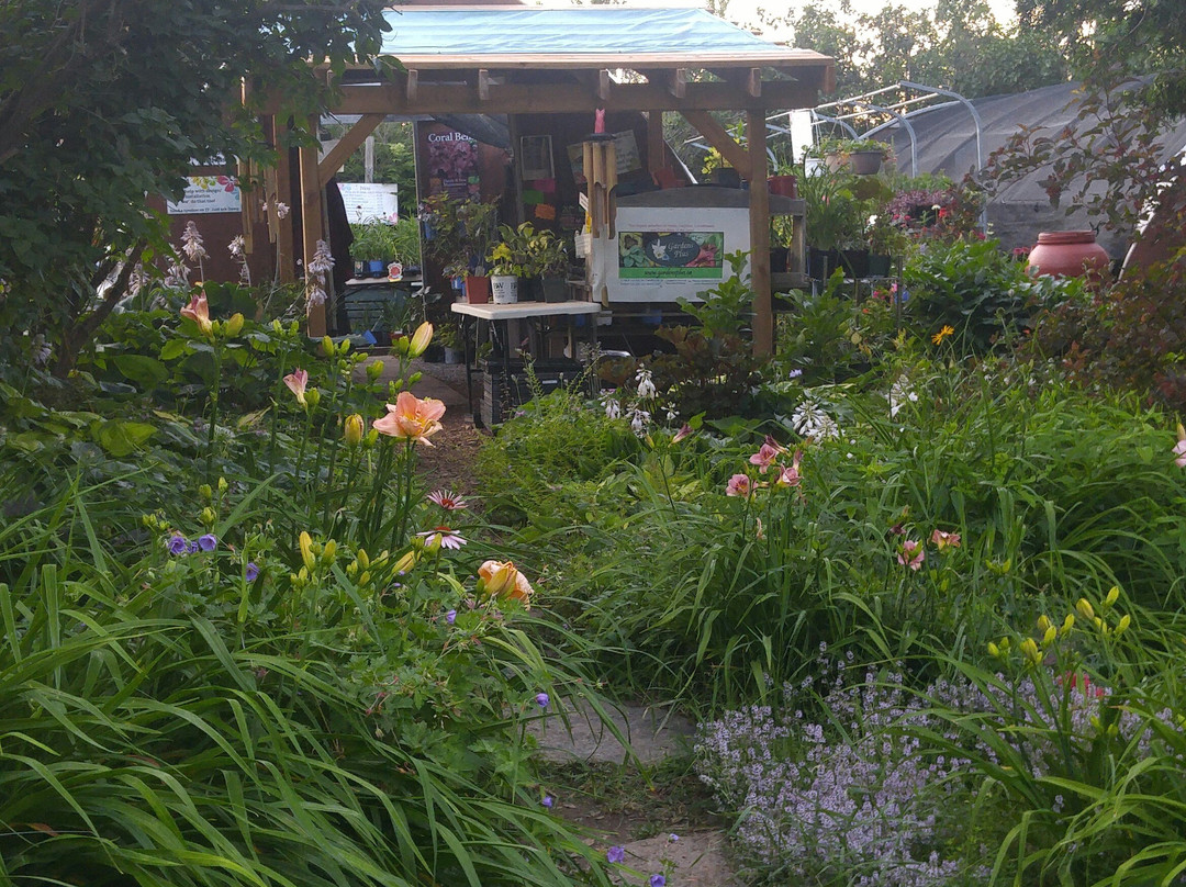 Gardens Plus-彼得伯勒必去景点