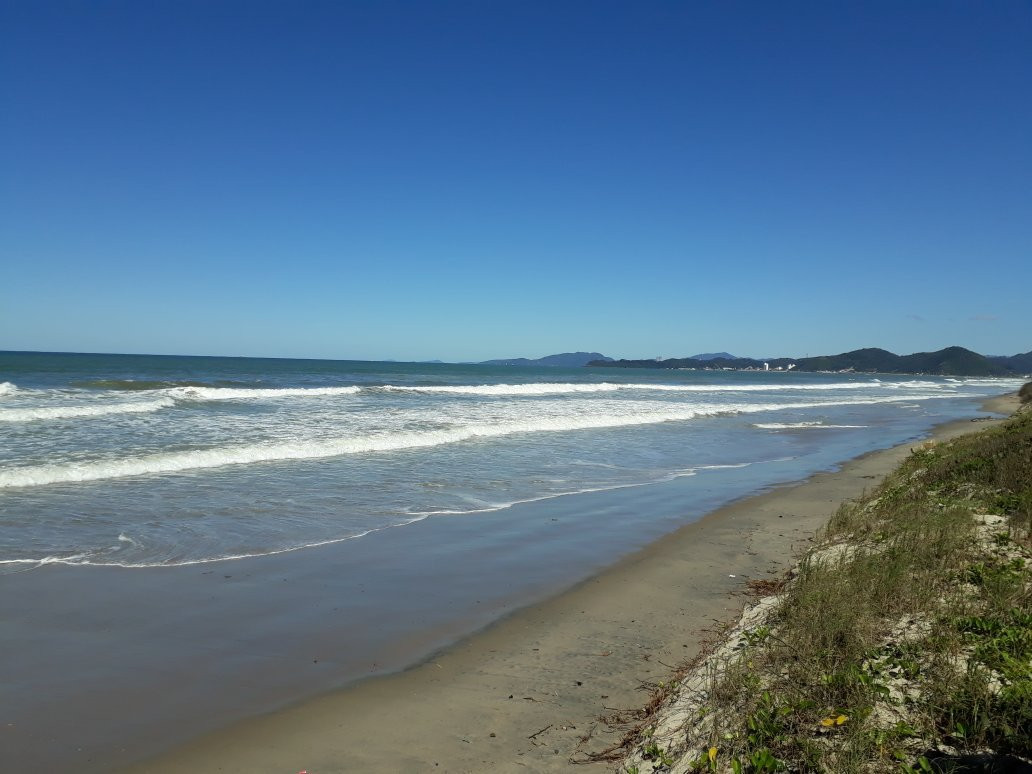 Meia-Praia Beach景点图片