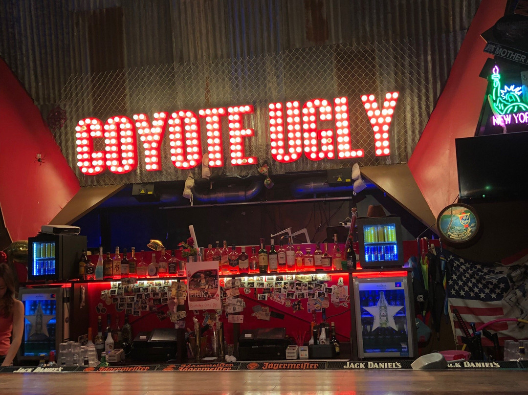 Coyote Ugly Saloon Roppongi景点图片