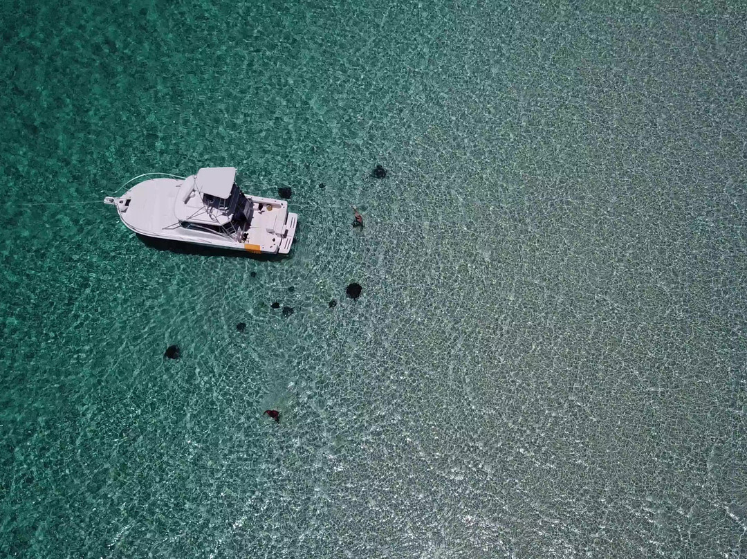 Cayman Snorkel Co-西湾必去景点