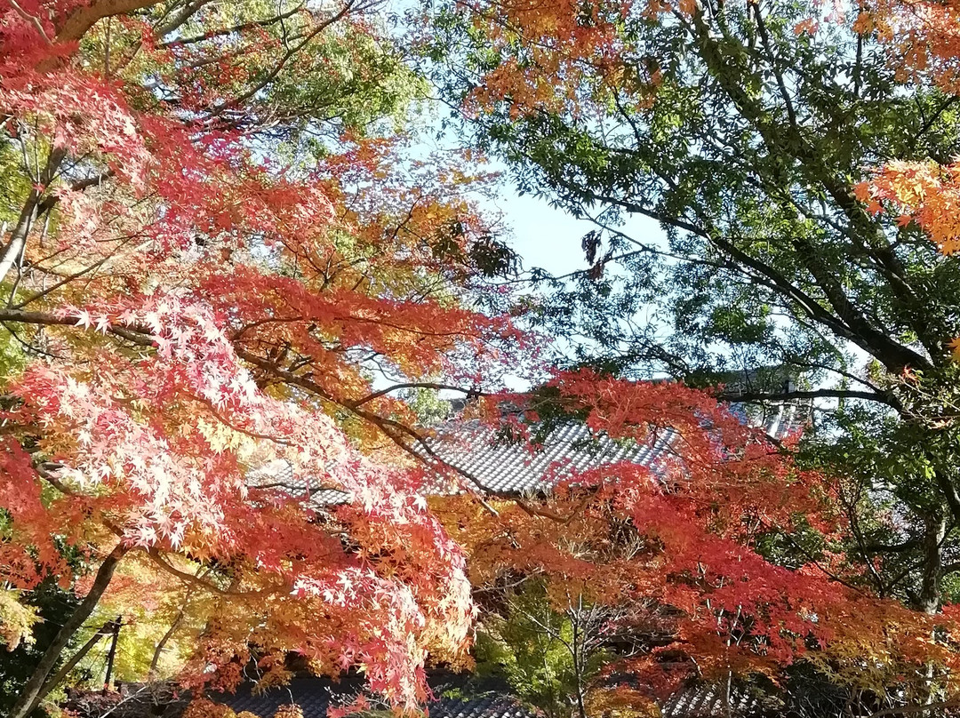 Eigen-ji Sammon景点图片