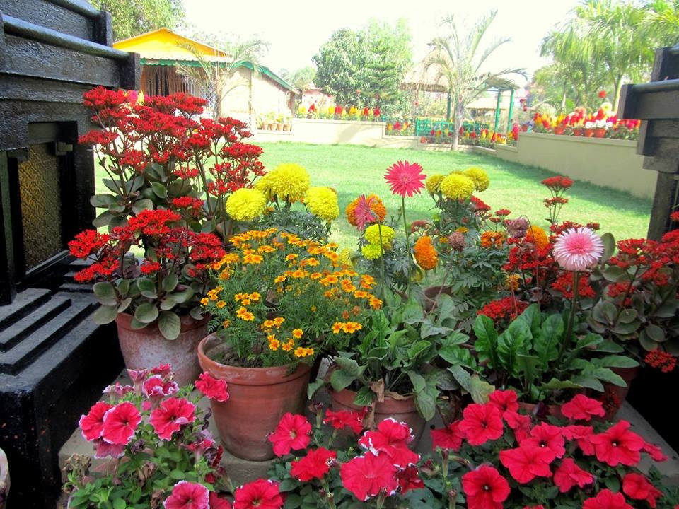 FarmVille Boutique Resort主图