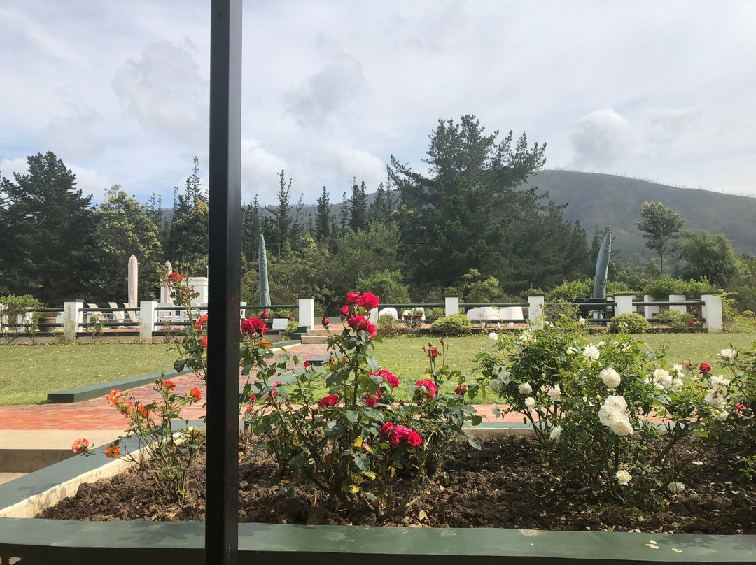 Buffelsdam Country House主图