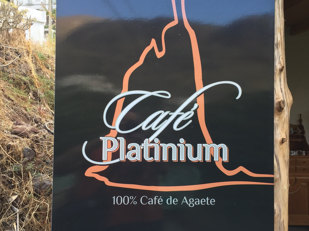 Cafe Platinium景点图片