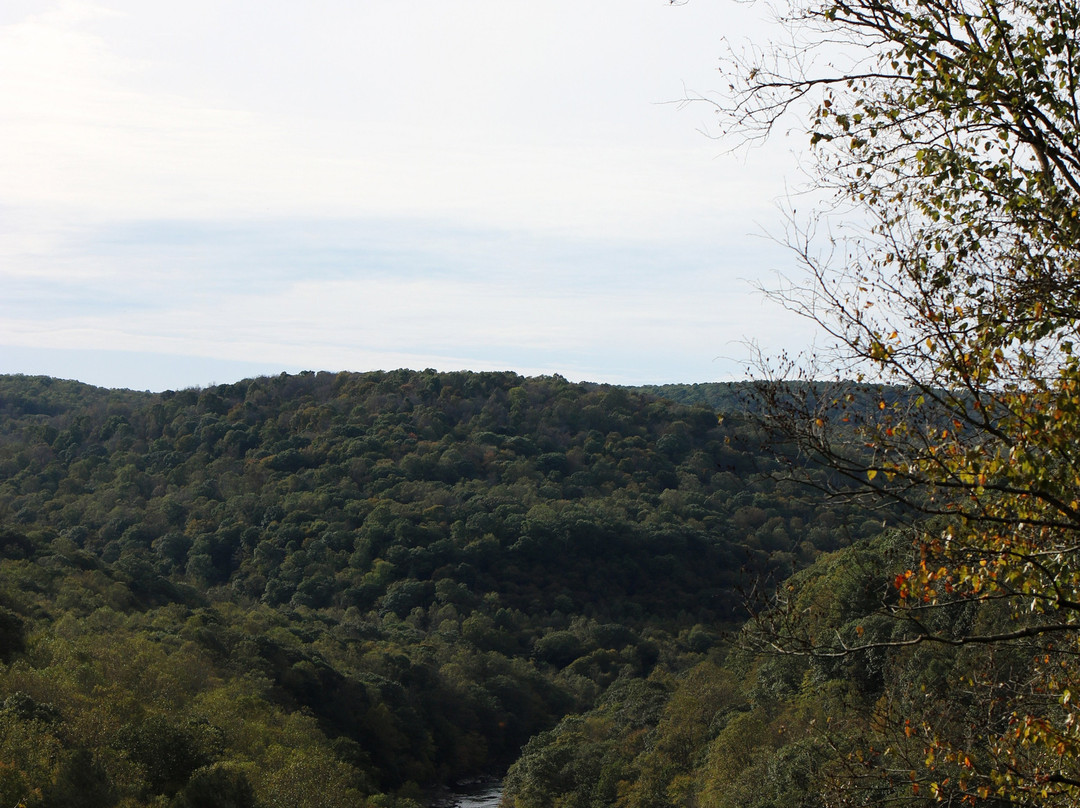 Bear Run Nature Reserve-Mill Run必去景点