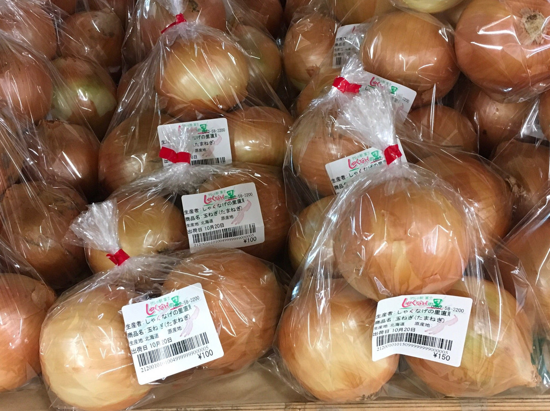 Dam Station Fuji Shakunage no Sato-佐贺市必去景点