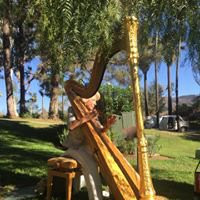 Bellafonte Resort主图