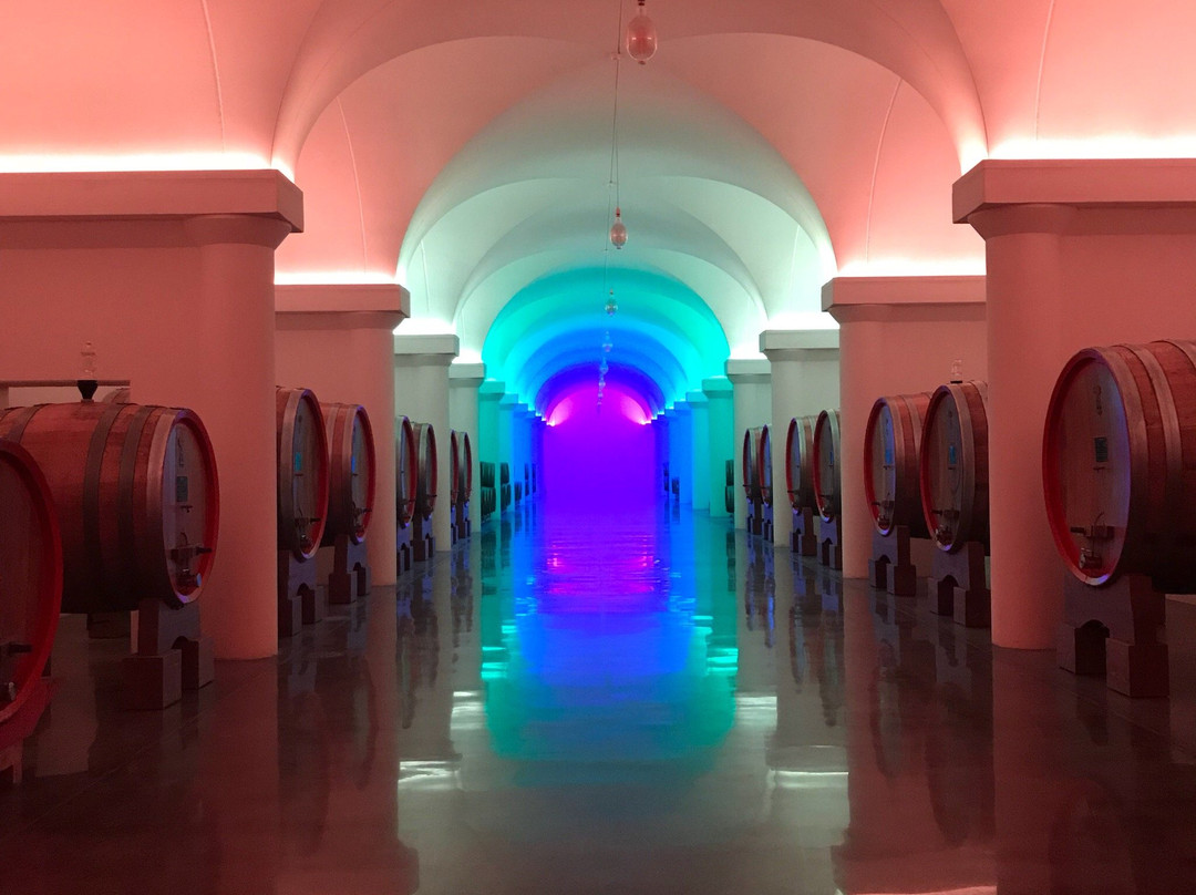Azienda Vinicola Tabarrini-Montefalco必去景点