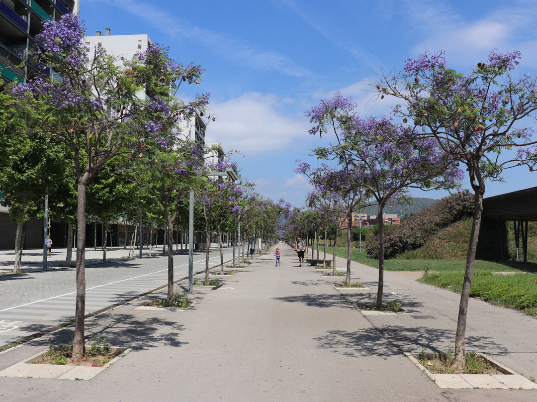 Parc de la Marina-比拉德坎斯必去景点