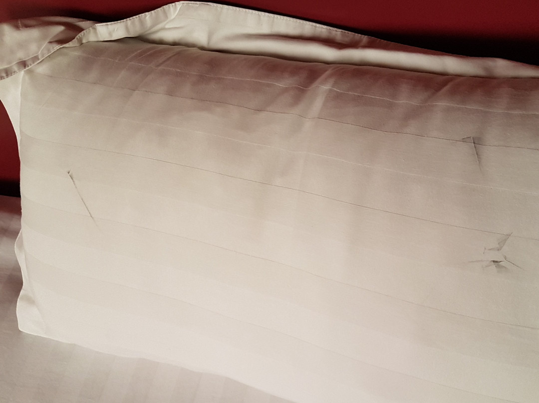 L'Orchidee Hotel主图