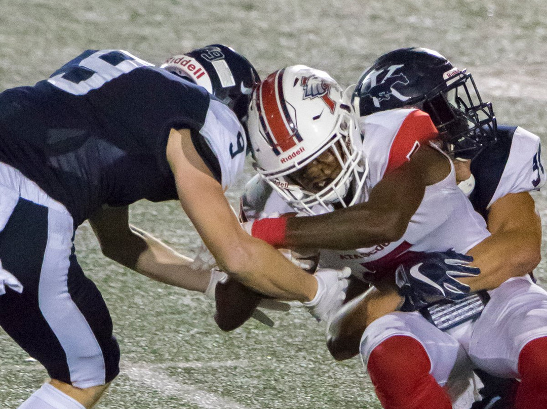 George Turner Stadium-汉布尔必去景点