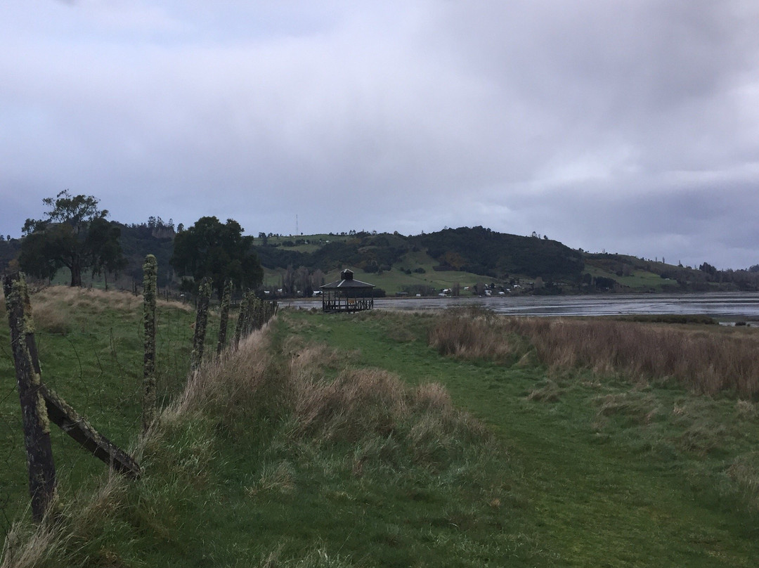 Humedal de Putemun-Castro必去景点