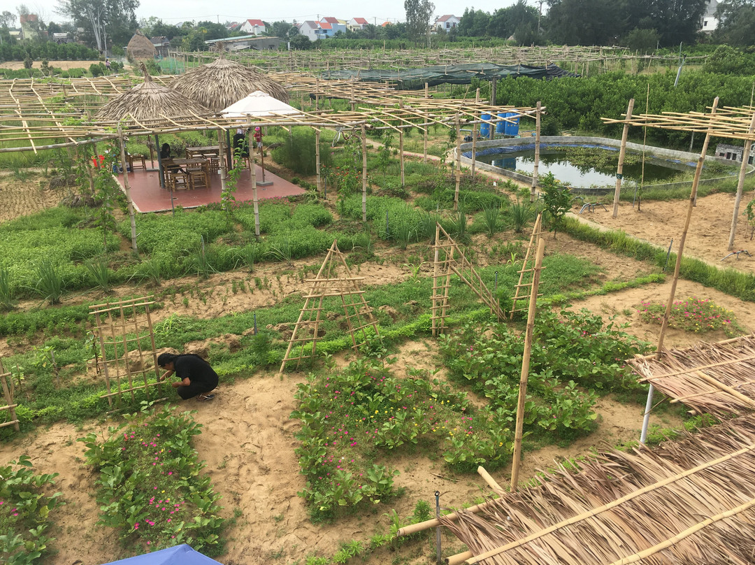 An Farm Hoi An-会安必去景点