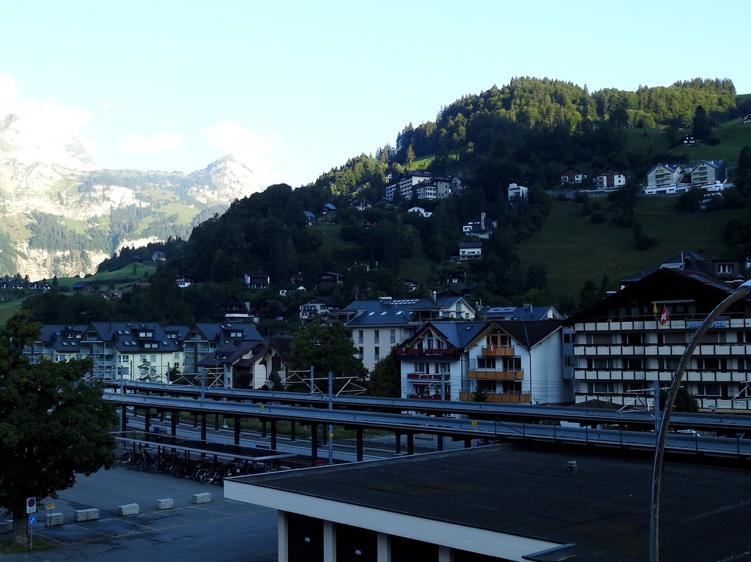 Ski Lodge Engelberg主图
