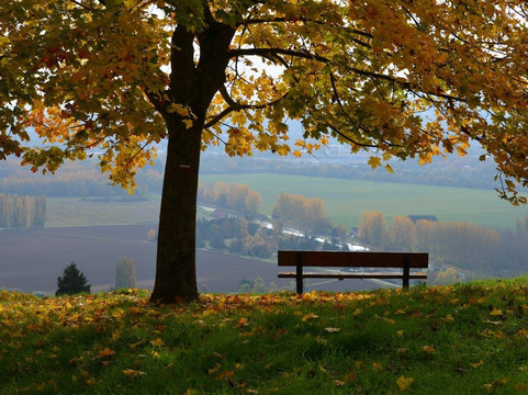À l'Allure Champenoise-兰斯必去景点