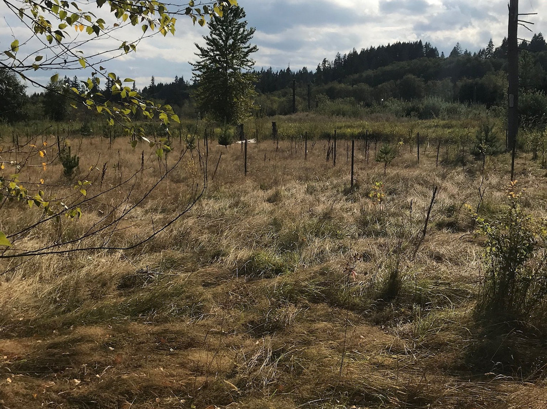 Clear Creek Trail-Silverdale必去景点