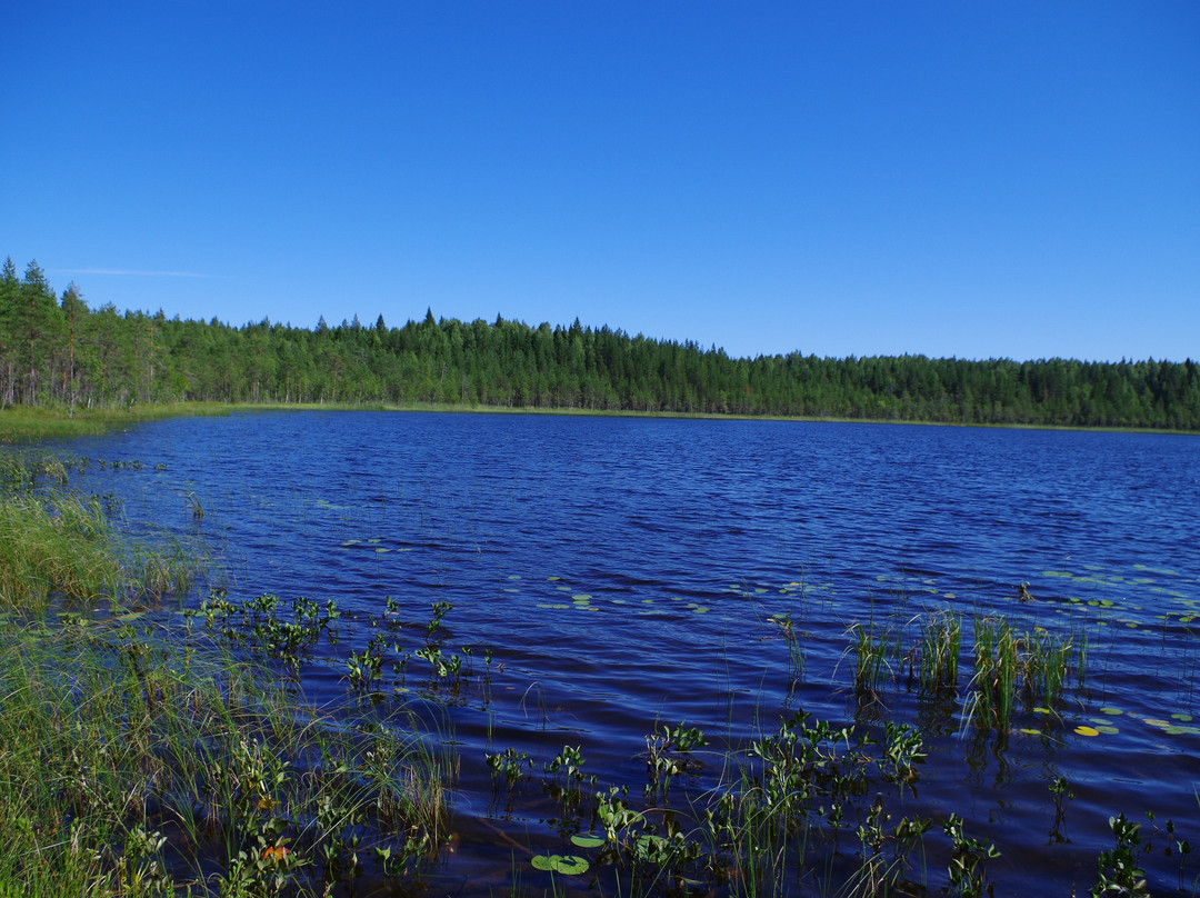 Maloye Havgilampi Lake景点图片