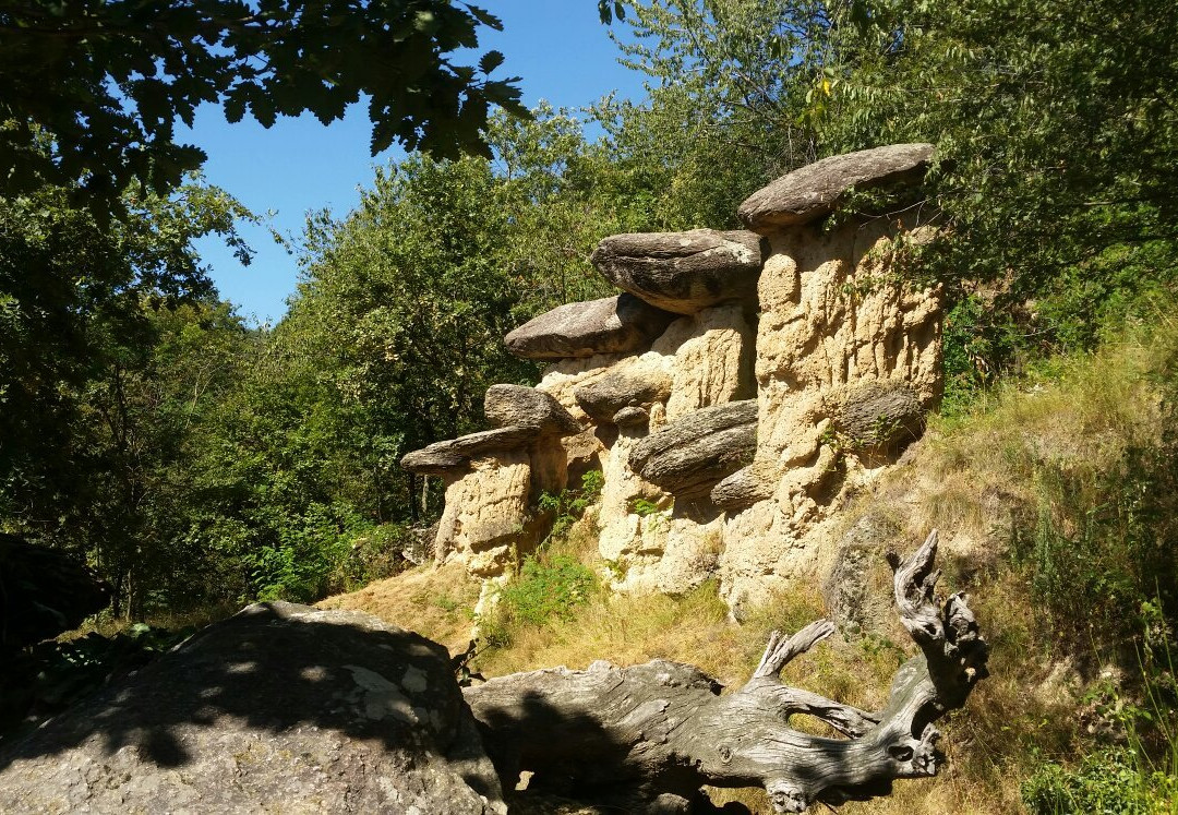 Riserva Naturale dei Ciciu del Villar景点图片